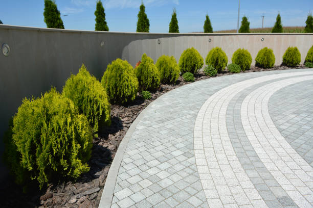 Best Professional Driveway Pavers  in Calumet City, IL
